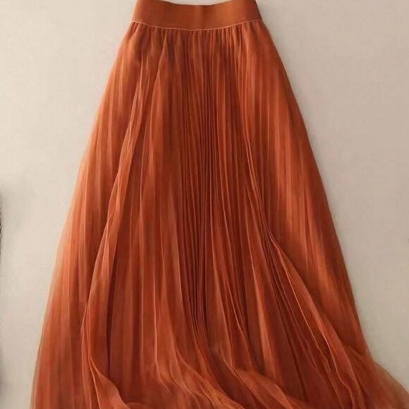 Pumpkin Spice Women's Elegant Pleated Mesh A-Line Skirt - Picture 7 of 7